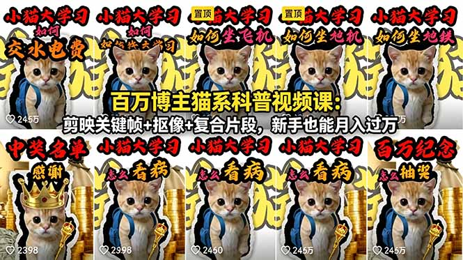 百万博主猫系科普视频课：剪映关键帧+抠像+复合片段，新手也能月入过万-985网创