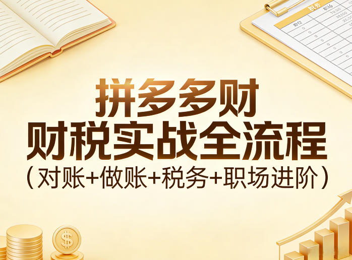 拼多多财税实战全流程(对账+做账+税务+职场进阶)-985网创