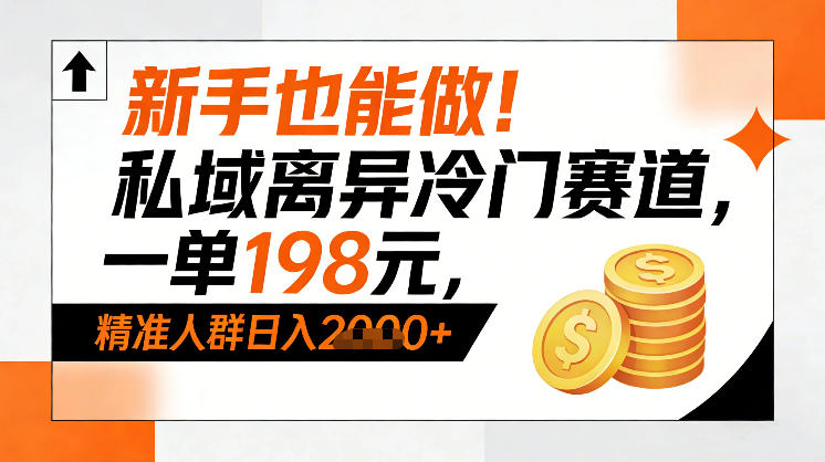 新手也能做！私域离异冷门赛道，一单198，精准人群日入1k+-985网创