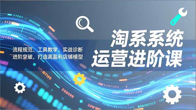 淘系系统运营进阶课2.0，流程规范、工具教学、实战诊断，进阶突破，打造高盈利店铺模型-985网创