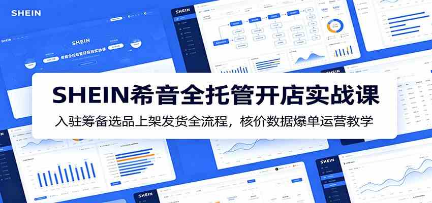 SHEIN希音全托管开店实战课：入驻筹备选品上架发货全流程，核价数据爆单运营教学-985网创