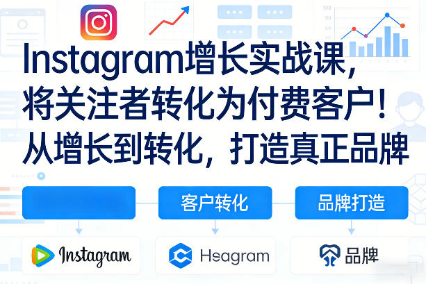 Instagram增长实战课，将关注者转化为付费客户！从增长到转化，打造真正品牌(双语字幕)-985网创