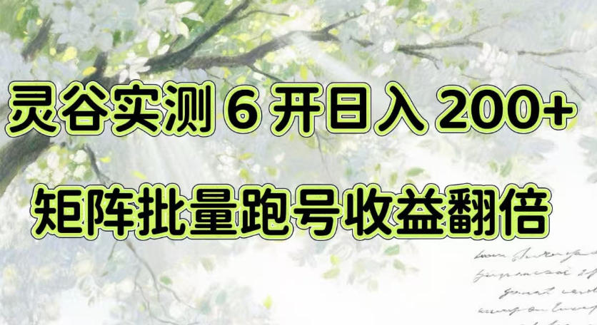 一台电脑就能做！灵谷实测6开日入200+，矩阵批量跑号收益翻倍【揭秘】-985网创