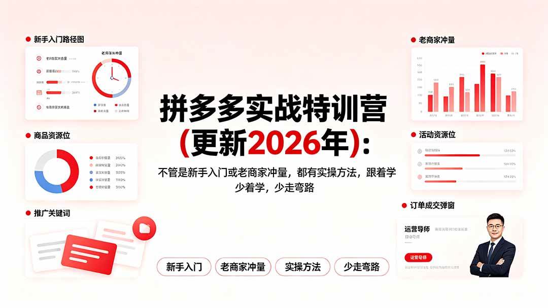 （19291期）拼多多实战特训营(更新2026年)：不管是新手入门或老商家冲量，都有实操方法，跟着学，少走弯路-985网创