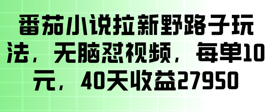 番茄小说拉新野路子玩法，无脑怼视频，玩法简单、见效快，每单10米，40天收益27950-985网创