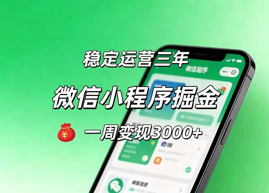 月收益稳定1W+的微信小程序，前期积累客户，后期躺平养老，小白轻松上手-985网创