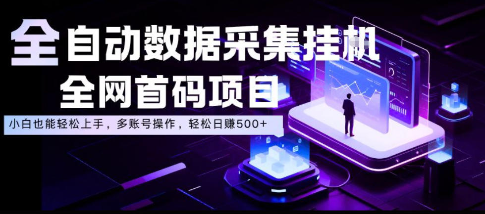 全自动数据采集挂G，全网首码项目，简单易操作，小白也能轻松上手，多账号操作，轻松日入500+【揭秘】-985网创