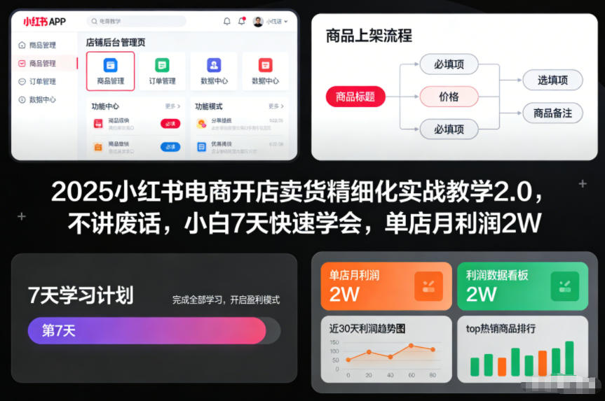 2025小红书电商开店卖货精细化实战教学2.0，不讲废话，小白7天快速学会，单店月利润2W-985网创