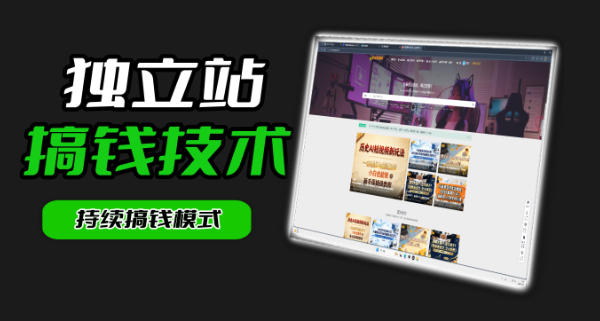 干货来袭！麦子甜带你吃透独立站｜从搭建到引流一站式教学《独立站》第一期-985网创