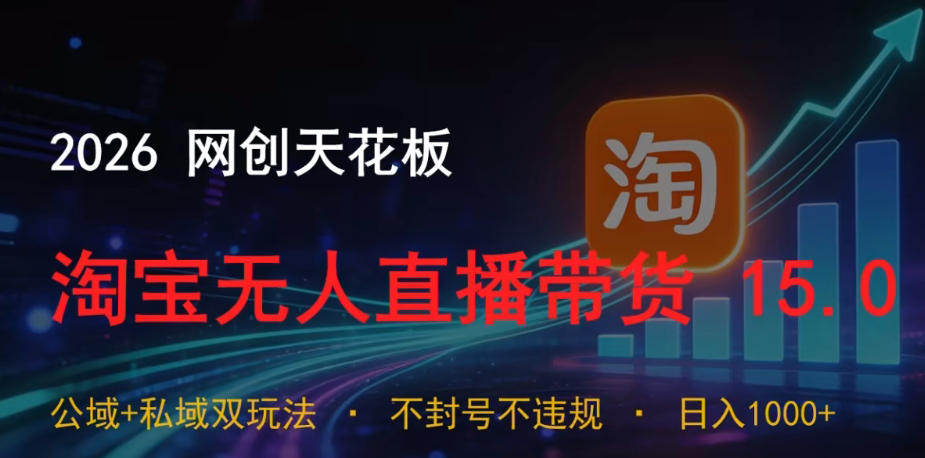 2026网创天花板，淘宝无人直播带货15.0，公域+私域双玩法，日入1k+，不违规不封号【揭秘】-985网创