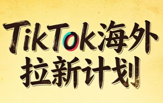 Tc联盟·TikTok海外拉新项目(更新9月)-985网创