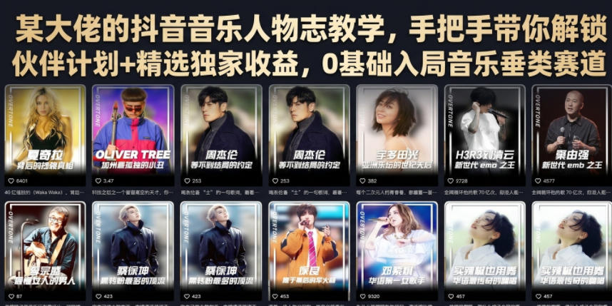 某大佬的抖音音乐人物志教学，手把手带你解锁伙伴计划+精选独家收益，0基础入局音乐垂类赛道-985网创