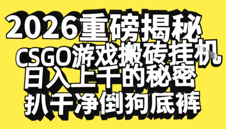 2026开年重磅解密，CSGO游戏搬砖挂G日入1k+的秘密，把倒狗的底裤扒干【揭秘】-985网创