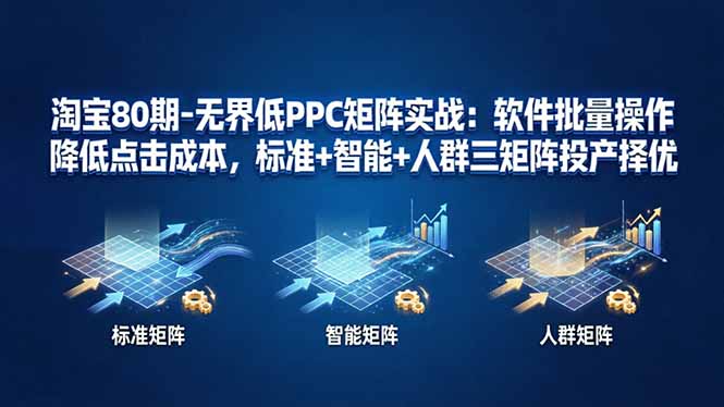 淘宝80期-无界低PPC矩阵实战：软件批量操作降低点击成本，标准+智能+人群三矩阵投产择优-985网创