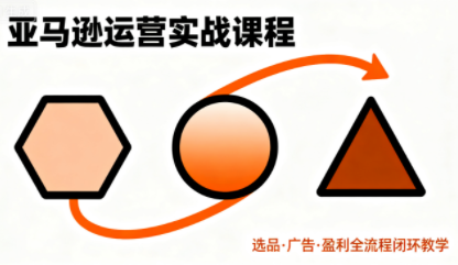 毕方电商·亚马逊全站会员课程(更新3月)-985网创