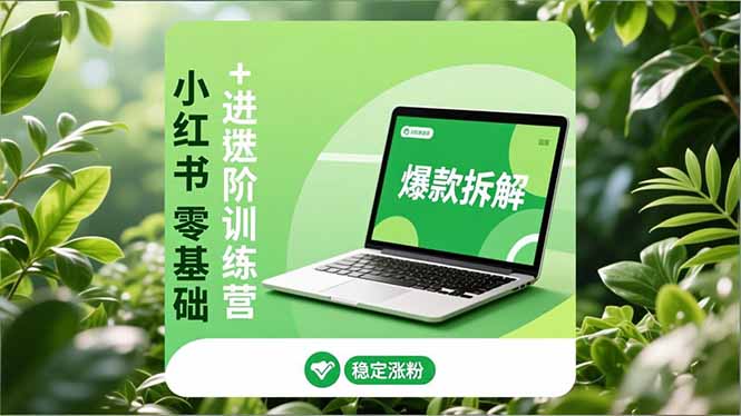 小红书零基础+高阶训练营：安全养号、爆款拆解、长效运营，实现稳定涨粉与变现-985网创