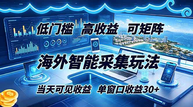 （18955期）海外智能采集玩法，低门槛高单价可矩阵，当天可见收益，单窗口30+-985网创