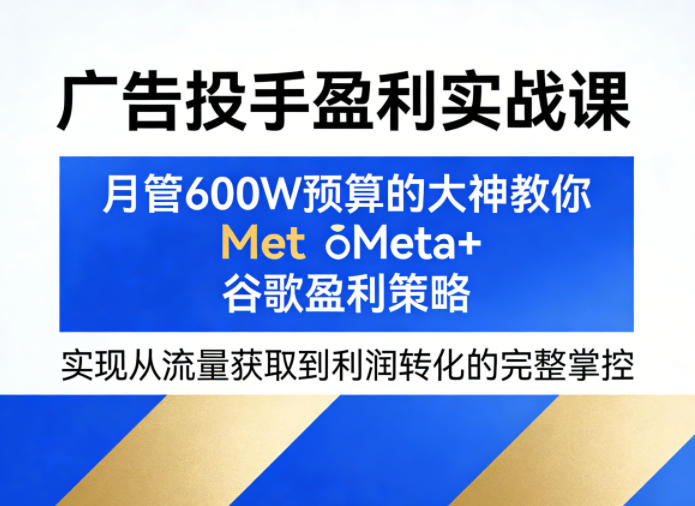 广告投手盈利实战课，月管600W预算的大神教你Meta+谷歌盈利策略，实现从流量获取到利润转化的完整掌控-985网创