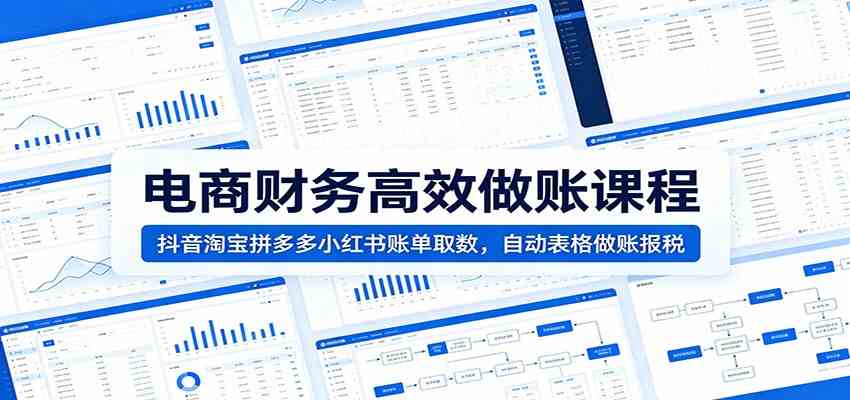 电商财务高效做账课程：抖音淘宝拼多多小红书账单取数，自动表格做账报税-985网创