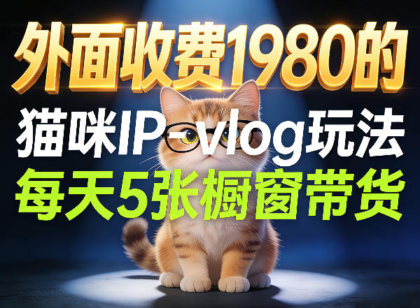 宠物赛道猫咪IP-vlog玩法，26条视频涨粉29W，每天5张橱窗带货拆解-985网创