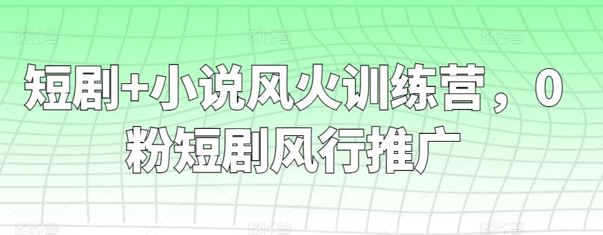 短剧+小说风火训练营，0粉短剧风行推广-985网创