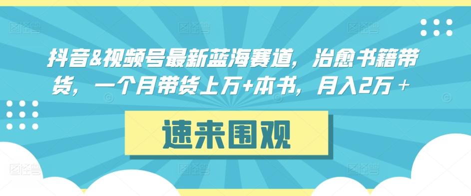 抖音&视频号最新蓝海赛道，治愈书籍带货，一个月带货上万+本书，月入2万＋【揭秘】-985网创