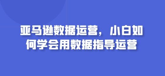 亚马逊数据运营，小白如何学会用数据指导运营-985网创