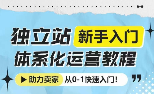 独立站新手入门体系化运营教程，助力独立站卖家从0-1快速入门!-985网创