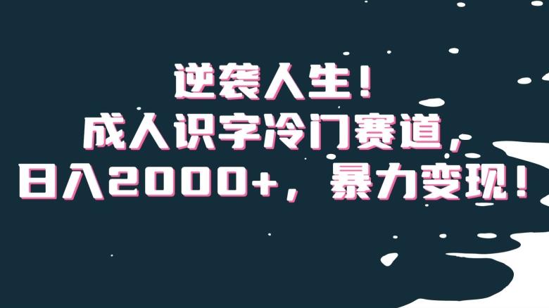 逆袭人生！成人识字冷门赛道，日入2000+，暴力变现！【揭秘】-985网创