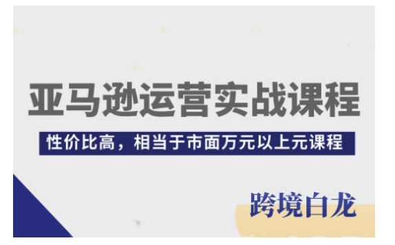 亚马逊运营实战课程，亚马逊从入门到精通，性价比高，相当于市面万元以上元课程-985网创