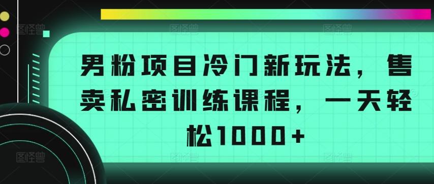 男粉项目冷门新玩法，售卖私密训练课程，一天轻松1000+【揭秘】-985网创