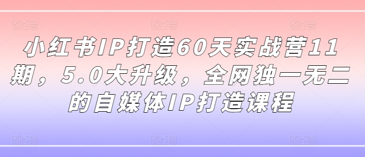 小红书IP打造60天实战营11期，5.0大升级，全网独一无二的自媒体IP打造课程-985网创