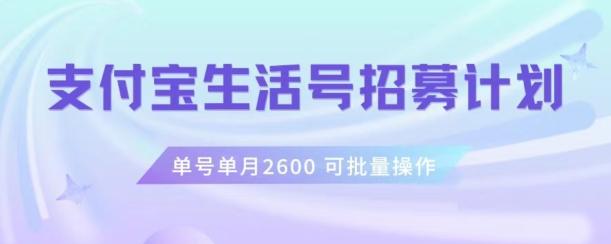 支付宝生活号作者招募计划，单号单月2600，可批量去做，工作室一人一个月轻松1w+【揭秘】-985网创