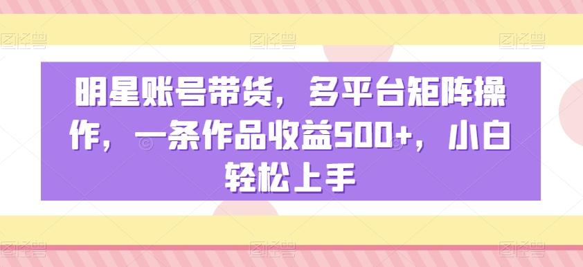 明星账号带货，多平台矩阵操作，一条作品收益500+，小白轻松上手【揭秘】-985网创