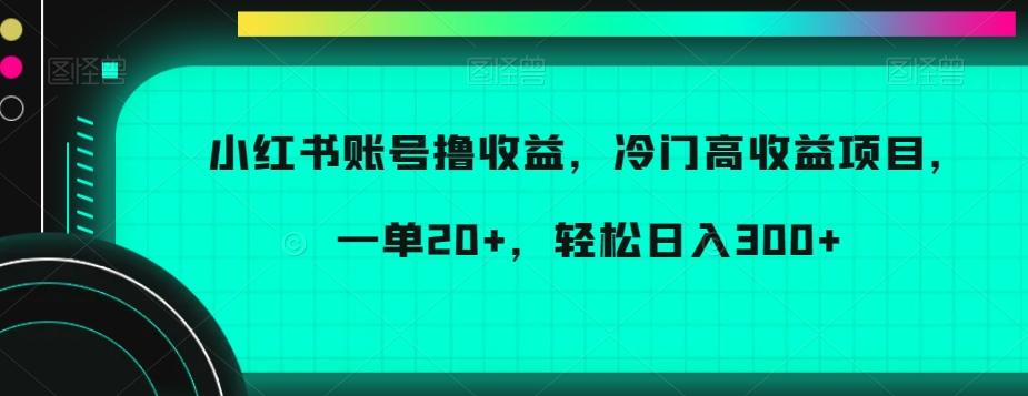 小红书账号撸收益，冷门高收益项目，一单20+，轻松日入300+【揭秘】-985网创