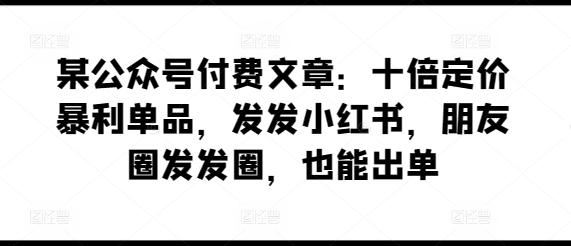 某公众号付费文章：十倍定价暴利单品，发发小红书，朋友圈发发圈，也能出单-985网创