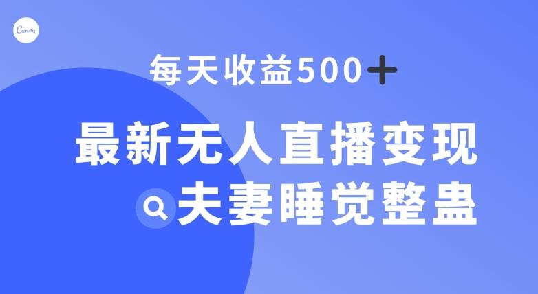 最新无人直播变现，夫妻睡觉整蛊，每天躺赚500+【揭秘】-985网创
