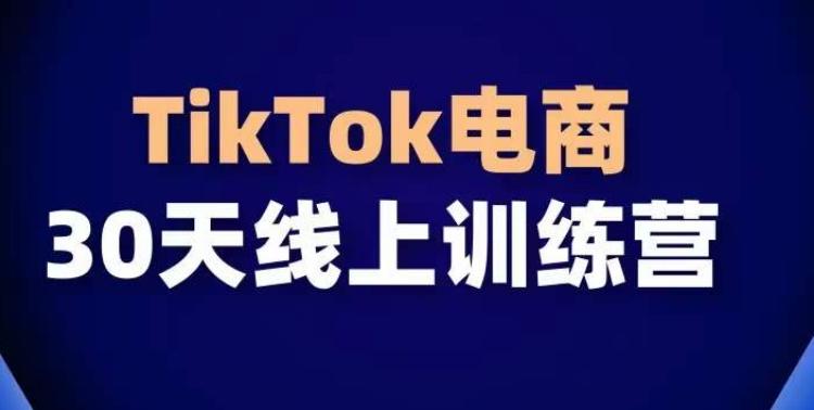 TikTok电商带货30天线上课，不可错过的全球流量洼地！-985网创
