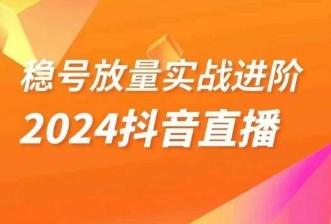 稳号放量实战进阶—2024抖音直播，直播间精细化运营的几大步骤-985网创