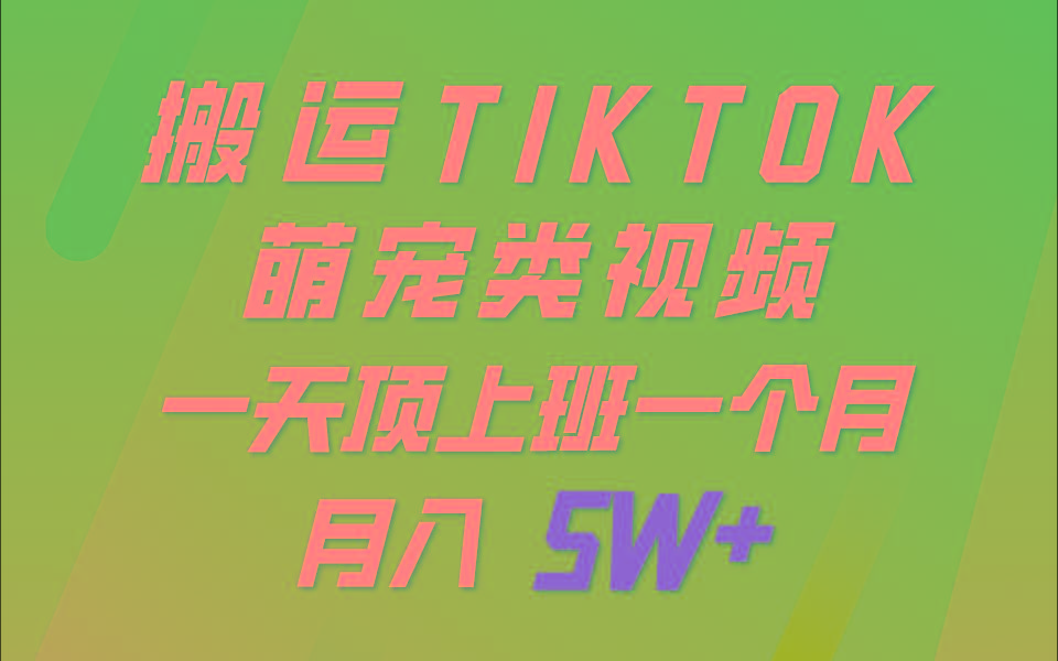 一键搬运TIKTOK萌宠类视频，一部手机即可操作，所有平台均可发布 轻松月入5W+-985网创