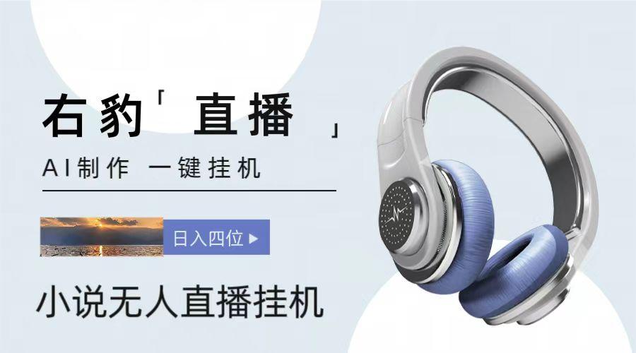 右豹小说无人直播挂机吸金项目，简单易行收益稳定， 月入1000+-985网创