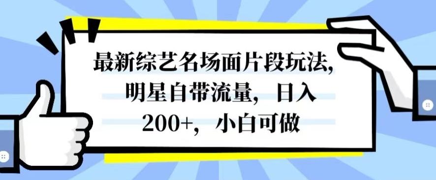 最新综艺名场面片段玩法，明星自带流量，日入200+，小白可做【揭秘】-985网创