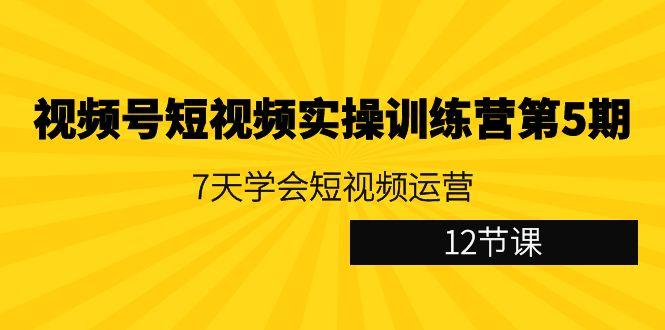 视频号短视频实操训练营第5期：7天学会短视频运营(12节课)-985网创