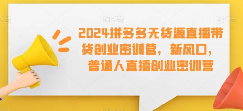 2024拼多多无货源直播带货创业密训营，新风口，普通人直播创业密训营-985网创
