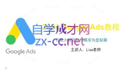 谷歌大叔·2024Google Ads教程-985网创