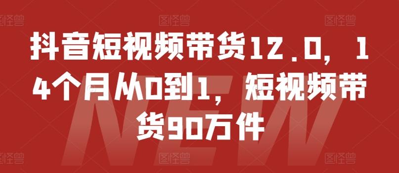 抖音短视频带货12.0，14个月从0到1，短视频带货90万件-985网创