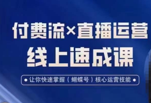 视频号付费流实操课程，付费流✖️直播运营速成课，让你快速掌握视频号核心运营技能-985网创
