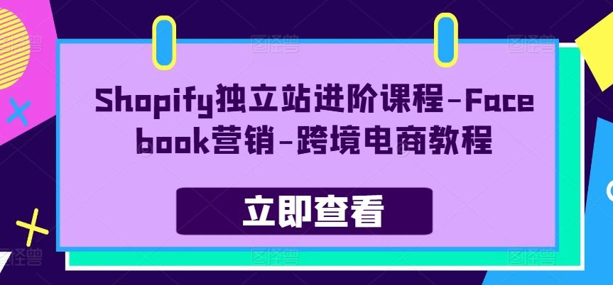 Shopify独立站进阶课程-Facebook营销-跨境电商教程-985网创