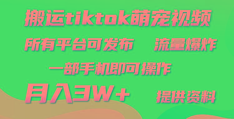 (9618期)搬运Tiktok萌宠类视频，一部手机即可。所有短视频平台均可操作，月入3W+-985网创