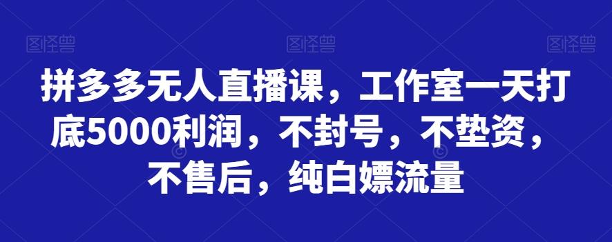拼多多无人直播课，工作室一天打底5000利润，不封号，不垫资，不售后，纯白嫖流量-985网创